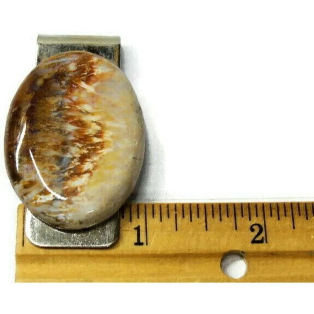 Silver Tone Money Clip Steel Polished Stone Oval Unique